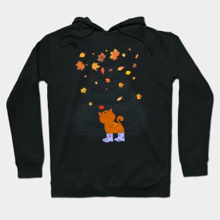 Autumn leaves Hoodie